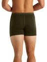 Herren Boxer Shorts Icebreaker  Anatomica Boxers LODEN