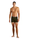 Herren Boxer Shorts Icebreaker  Anatomica Boxers LODEN