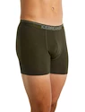 Herren Boxer Shorts Icebreaker  Anatomica Boxers LODEN