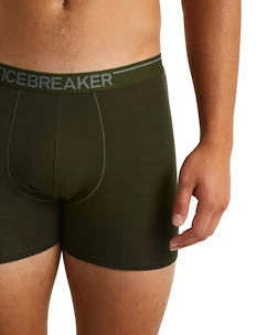 Herren Boxer Shorts Icebreaker  Anatomica Boxers LODEN