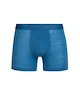 Herren Boxer Shorts Icebreaker  Anatomica Cool-Lite Boxers Azul