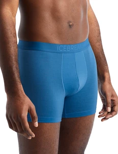 Herren Boxer Shorts Icebreaker  Anatomica Cool-Lite Boxers Azul