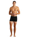 Herren Boxer Shorts Icebreaker  Anatomica Cool-Lite Boxers Black