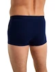 Herren Boxer Shorts Icebreaker  M Anatomica Cool-Lite Trunks ROYAL NAVY