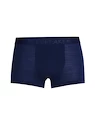 Herren Boxer Shorts Icebreaker  M Anatomica Cool-Lite Trunks ROYAL NAVY