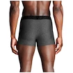Herren Boxer Shorts Under Armour Perf Tech 3in Grey