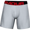 Herren Boxer Shorts Under Armour  Tech 6in 2Pack Grey