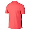 Herren Funktions T-Shirt Nike Graphic Flash IV Pink/Black