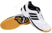 Herren Hallenschuhe adidas BT Feather White ´14