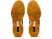 Herren Hallenschuhe Asics