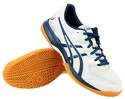 Herren Hallenschuhe Asics