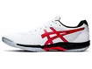 Herren Hallenschuhe Asics