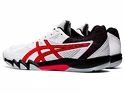 Herren Hallenschuhe Asics