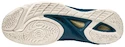 Herren Hallenschuhe Mizuno