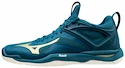 Herren Hallenschuhe Mizuno