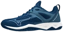 Herren Hallenschuhe Mizuno  Ghost Shadow