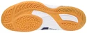 Herren Hallenschuhe Mizuno  Wave Drive 8 White/Blue