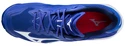 Herren Hallenschuhe Mizuno  Wave Lightning Z6 Blue/Pink