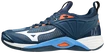 Herren Hallenschuhe Mizuno  Wave Momentum 2