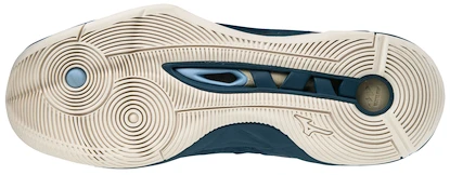 Herren Hallenschuhe Mizuno  Wave Momentum Blue