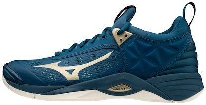 Herren Hallenschuhe Mizuno  Wave Momentum Blue