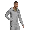 Herren Hoodie adidas Aeroready Designed 2 Move Sport Motion Logo Medium Grey Heather