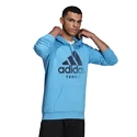 Herren Hoodie adidas  Category Graphic Hoodie Blue