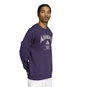 Herren Hoodie adidas  Heritage Graphic Crew Sweatshirt