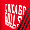 Herren Hoodie adidas NBA Chicago Bulls AH5057