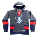 Herren Hoodie CCM