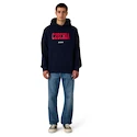 Herren Hoodie CCM  Flag Hood Team CZE Navy