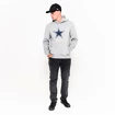 Herren Hoodie New Era