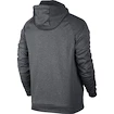 Herren Hoodie Nike Therma Training Big Logo