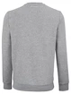 Herren Hoodie Tecnifibre  Club Sweater Silver