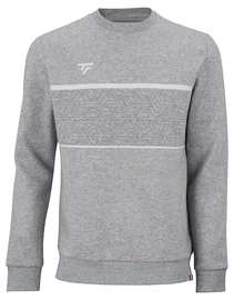 Herren Hoodie Tecnifibre Club Sweater Silver