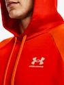 Herren Hoodie Under Armour