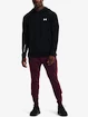Herren Hoodie Under Armour