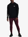Herren Hoodie Under Armour