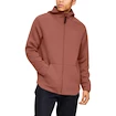 Herren Hoodie Under Armour