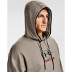 Herren Hoodie Under Armour