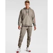 Herren Hoodie Under Armour