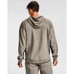 Herren Hoodie Under Armour