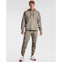 Herren Hoodie Under Armour