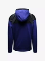 Herren Hoodie Under Armour