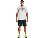 Herren Hoodie Under Armour
