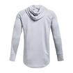 Herren Hoodie Under Armour BASELINE P/O HOODY grau