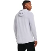 Herren Hoodie Under Armour BASELINE P/O HOODY grau