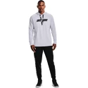 Herren Hoodie Under Armour BASELINE P/O HOODY grau