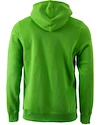 Herren Hoodie Under Armour CC Storm Rival Green