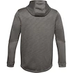 Herren Hoodie Under Armour DOUBLE KNIT FZ HOODIE grün